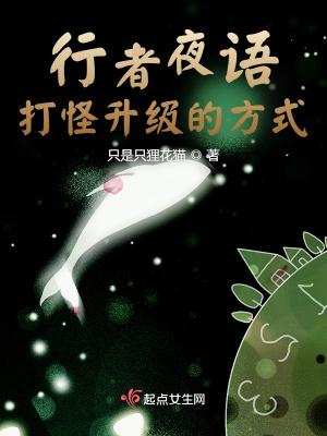 行者夜语：打怪升级的方式